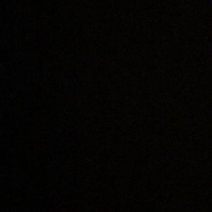 Meet your Posher, Cole